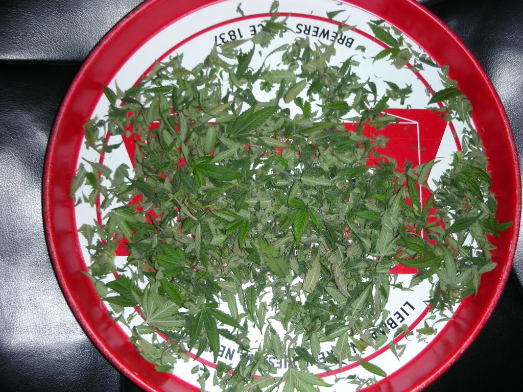 DSCN2214.jpg