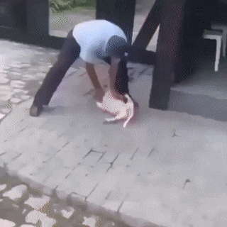 gifs_10.gif