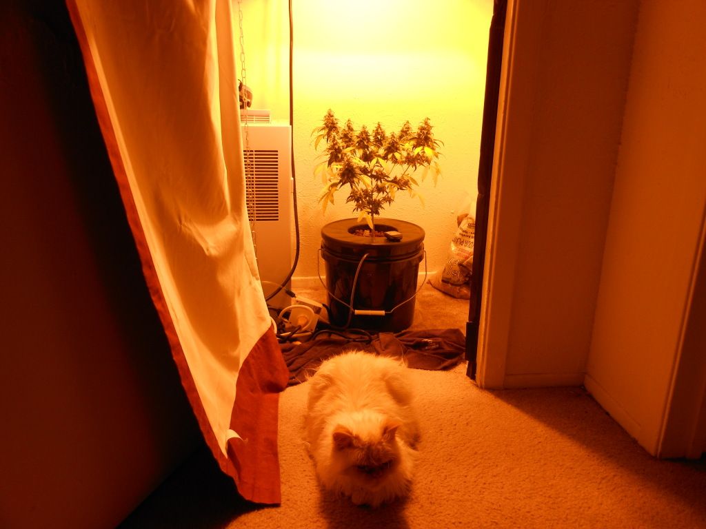 DSCN0244.jpg