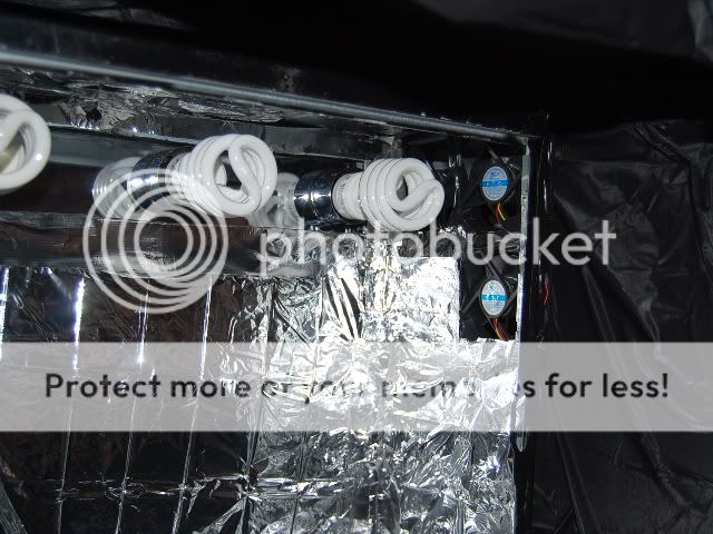 SSC_0984.jpg