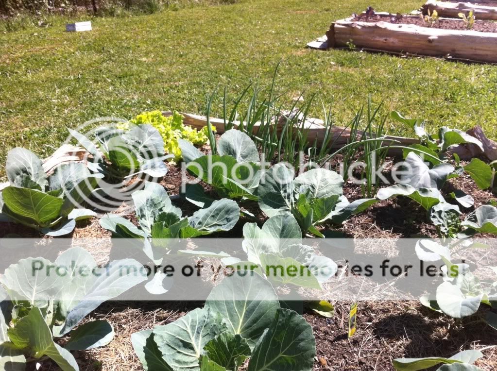 photo16.jpg