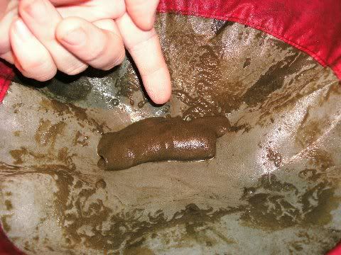 hashy042.jpg