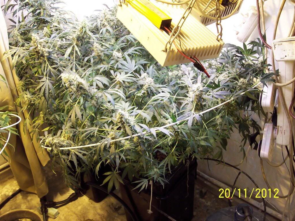 100_2895.jpg