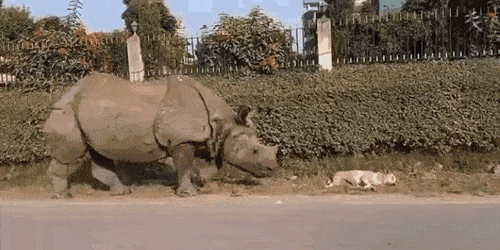 1668625990_8.gif