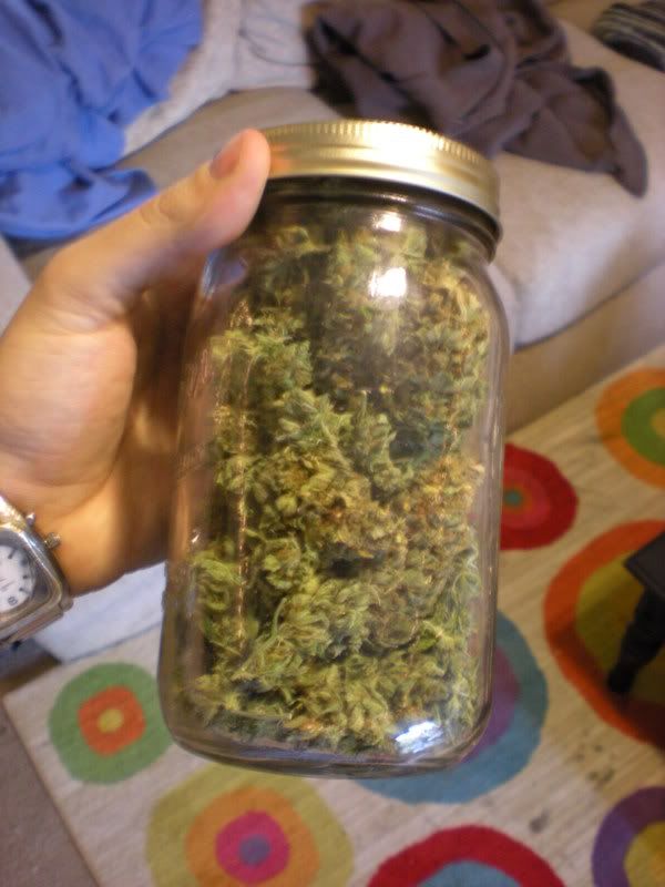 plants278.jpg