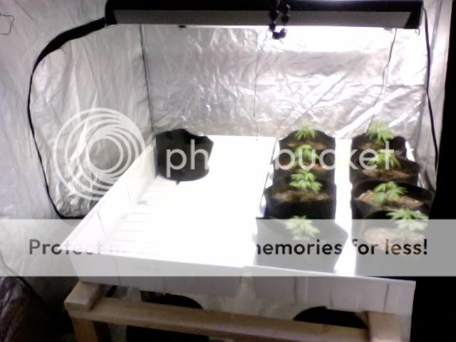 Photo40.jpg