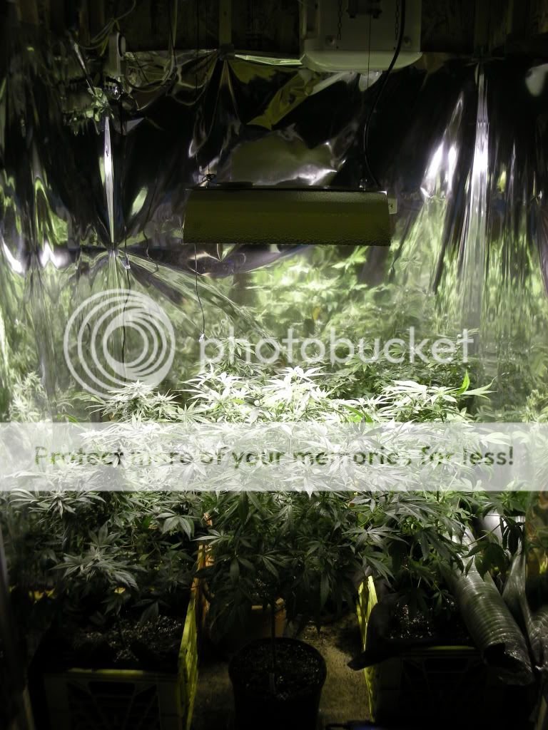 DSCN4357.jpg