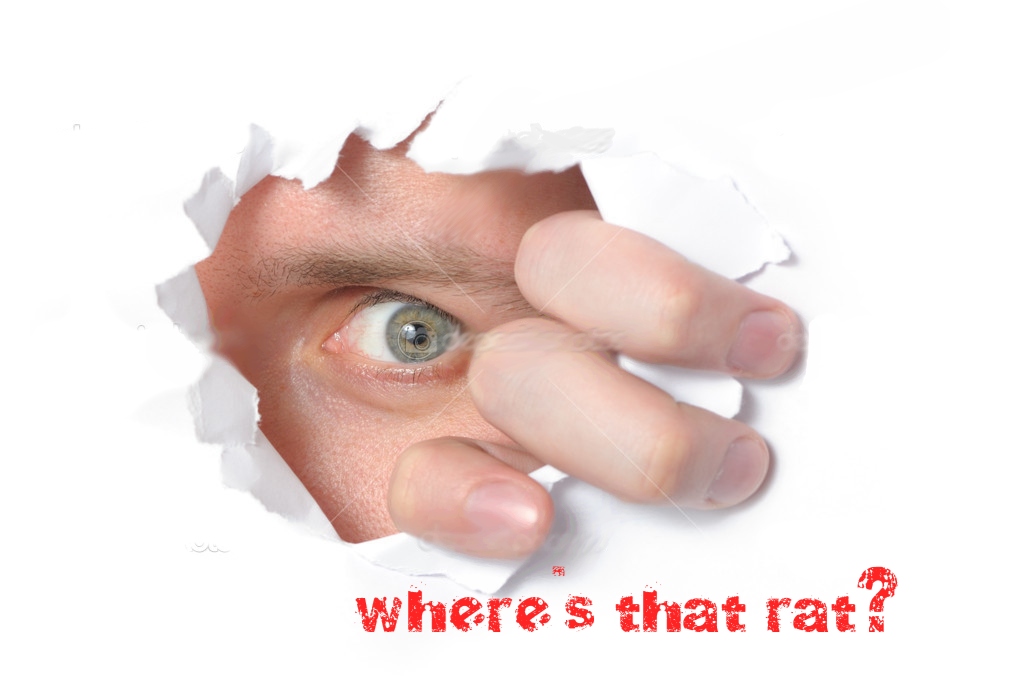 qlLmLob.jpg