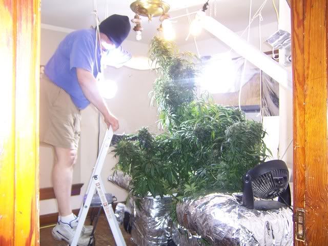 000_3317.jpg