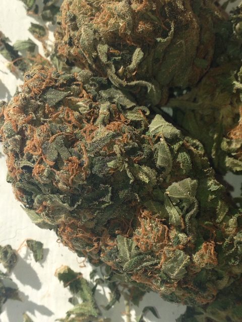 mGWgMqBl.jpg