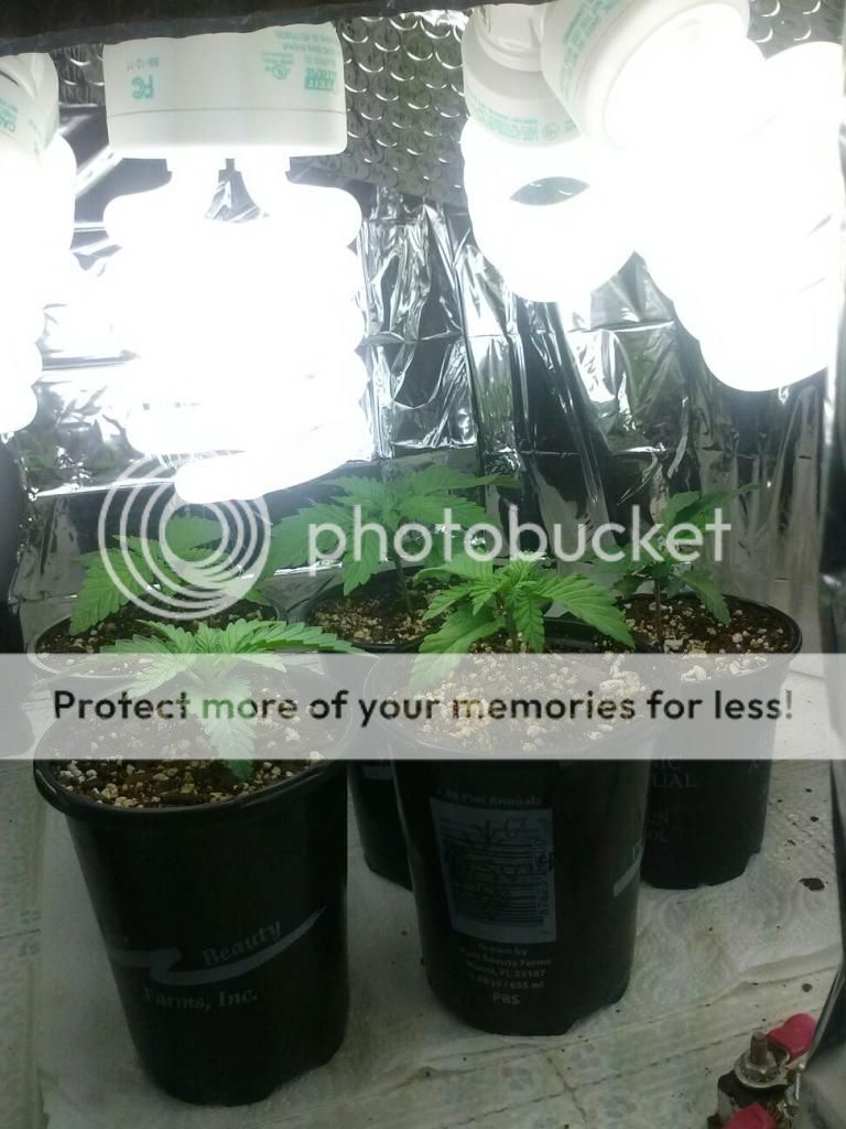 0102130830_zps73812148.jpeg