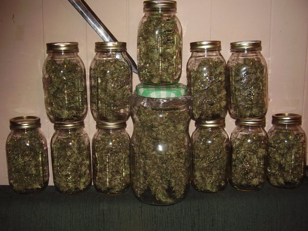 justinthejar001.jpg