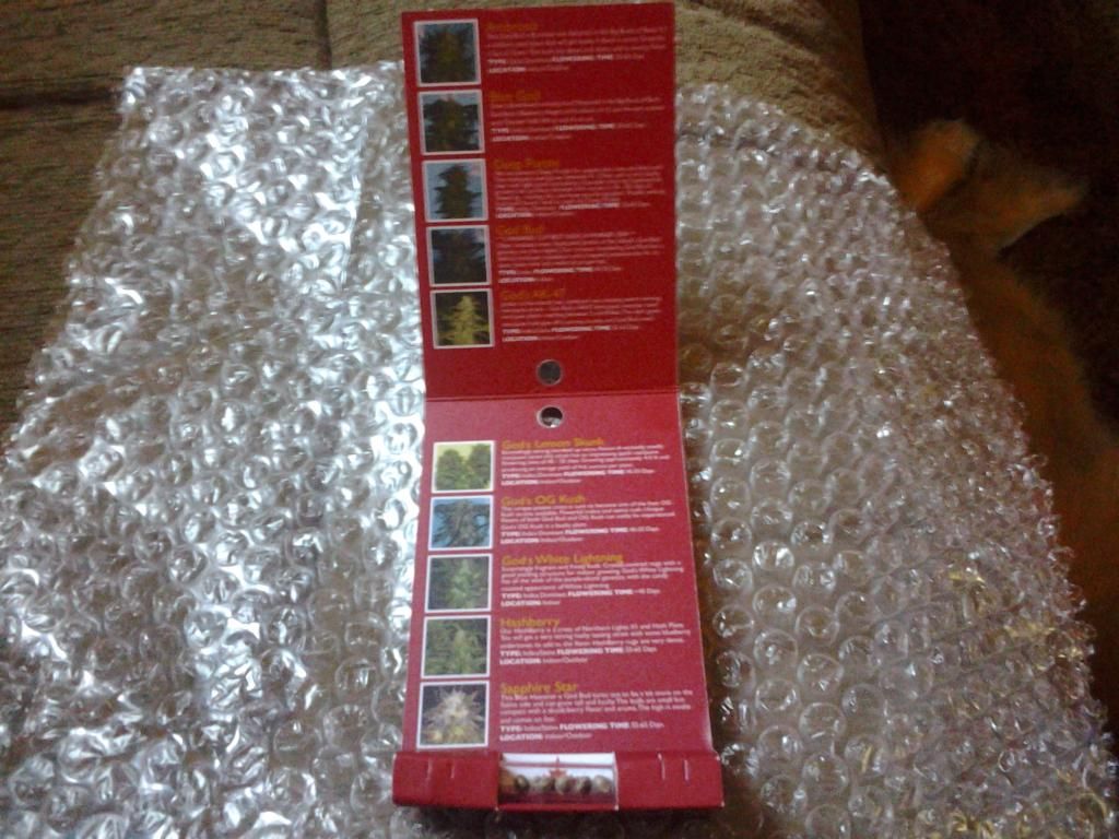 20150117_124949_zpsvgez6by4.jpg