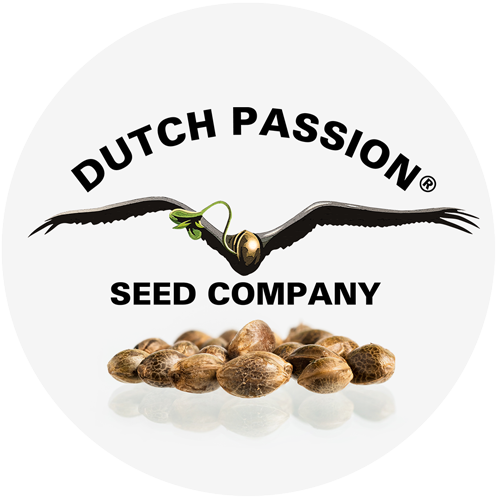 dutch-passion.us