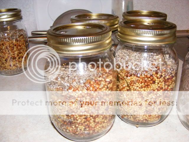 mushroomstuff008.jpg