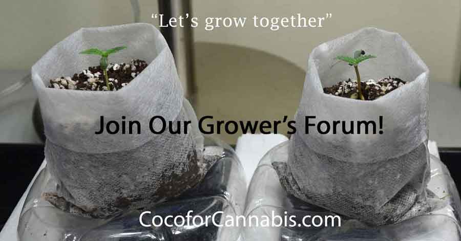 www.cocoforcannabis.com