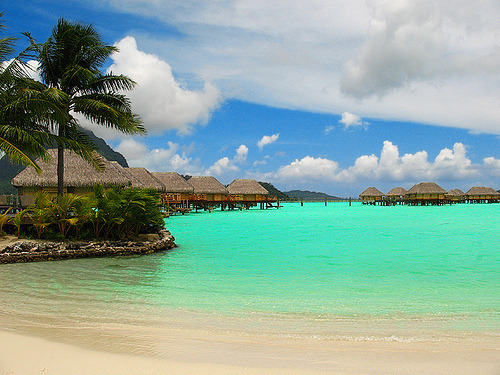 tumblr_m8z38sX5LS1rxzphho1_500.jpg
