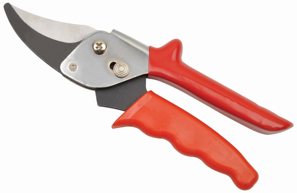 Pruning-Shears-ANT-PS-819-.jpg