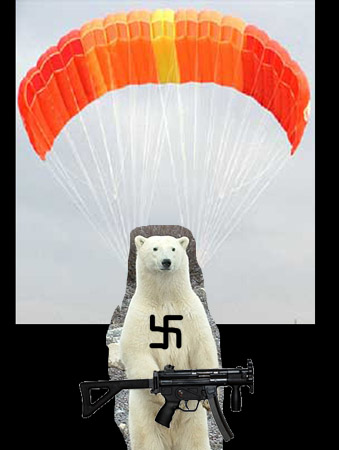 polarbear.jpg