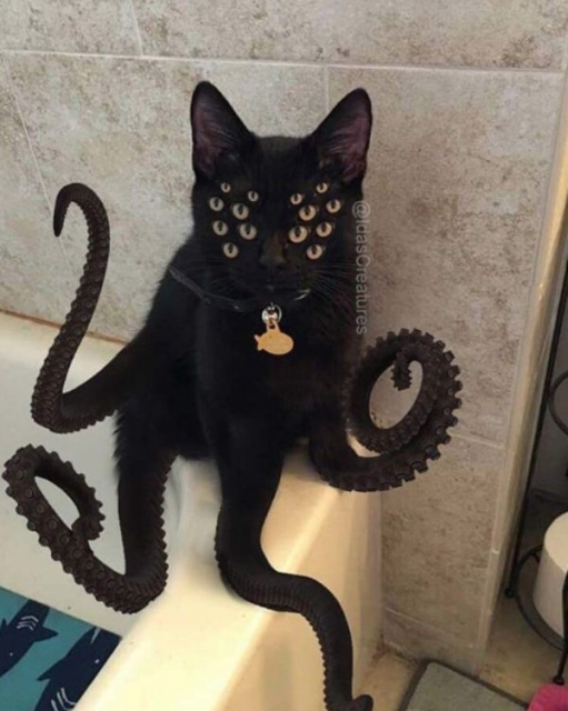 photoshop_pets_creepy_24.jpg