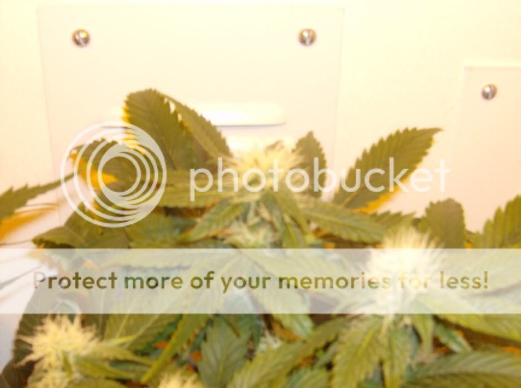 ImportedPhotos00194.jpg