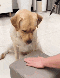 1663605104_17.gif