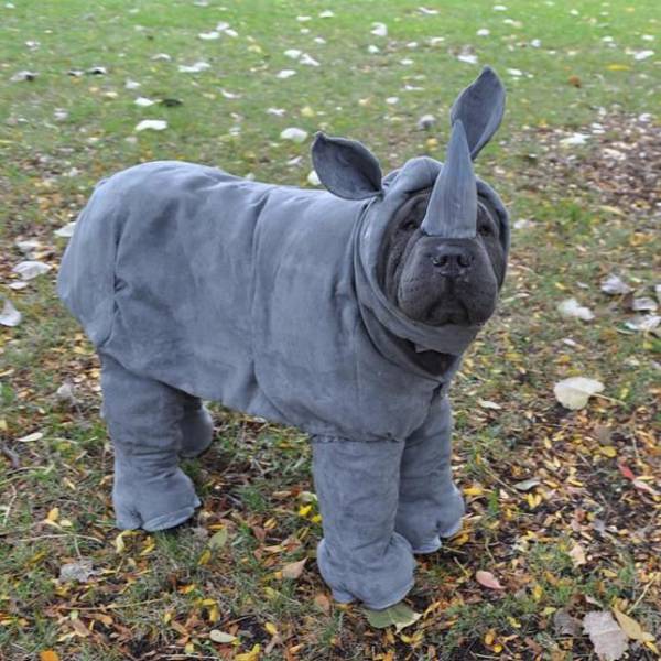 acid_picdump_63.jpg