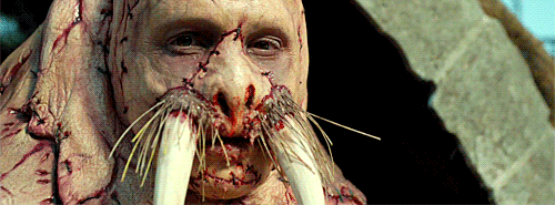 tumblr_ng0p55rbSd1rne776o3_500.gif