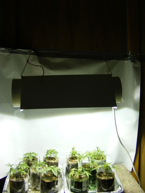 projects050-1.jpg