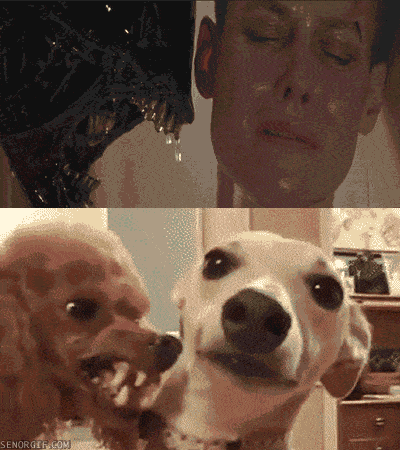 gifs_18.gif