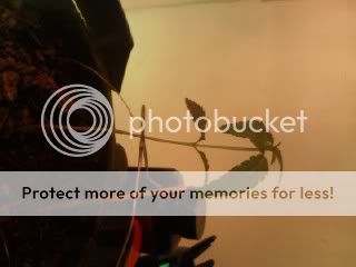 0615092345a.jpg