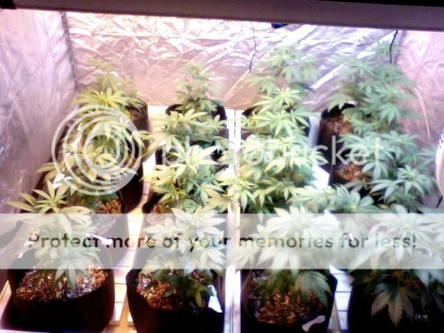 Photo77.jpg