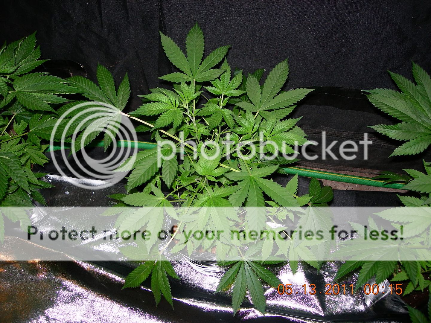 DSCN9496.jpg