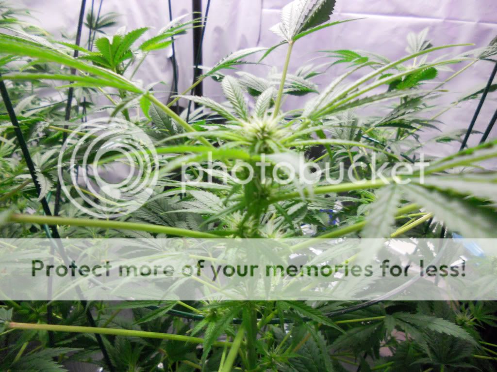 ES_Day24f_2.jpg