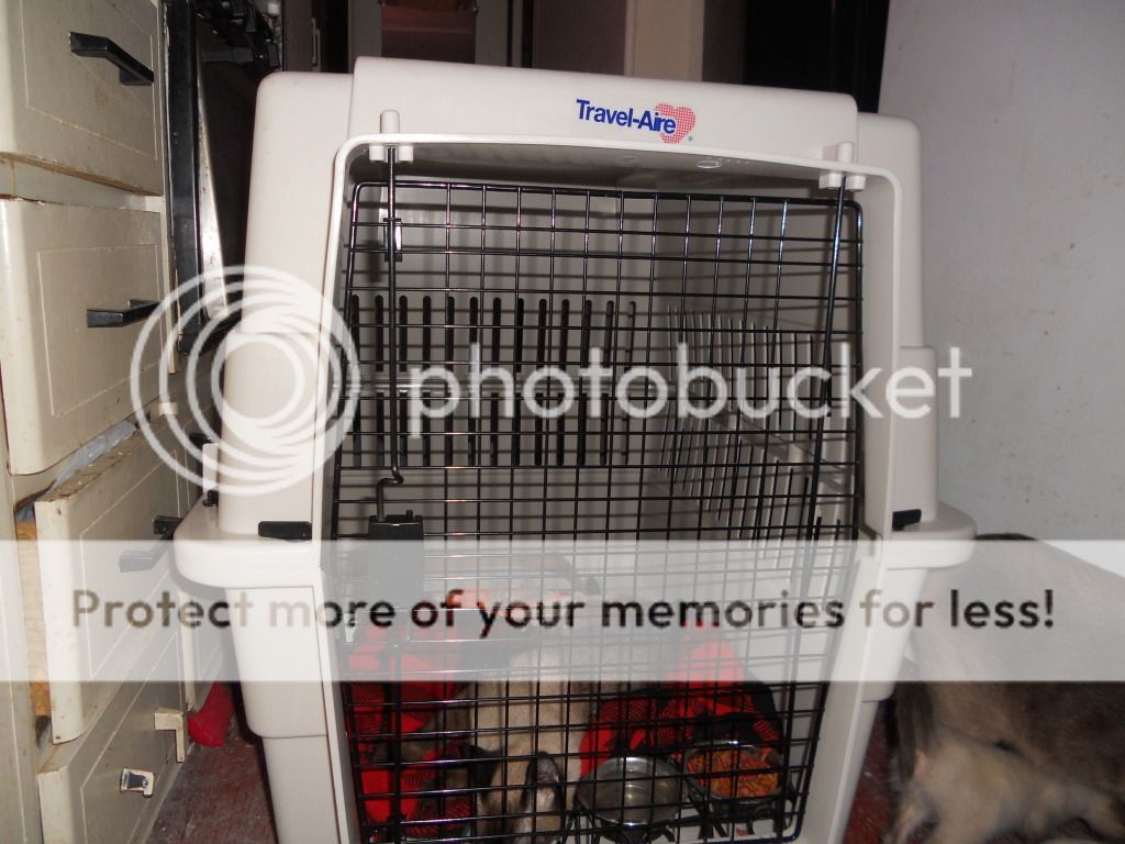 DSCN5220.jpg