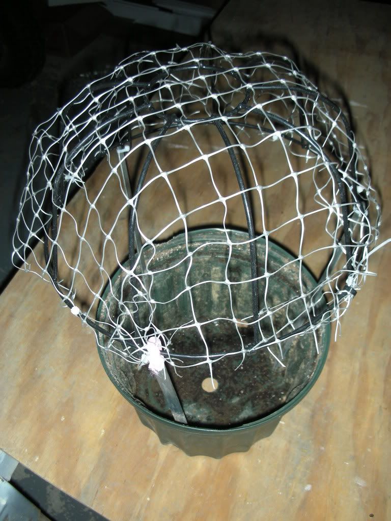 DSCN2466.jpg