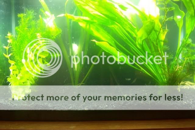 CO2ReactorInstructables010.jpg