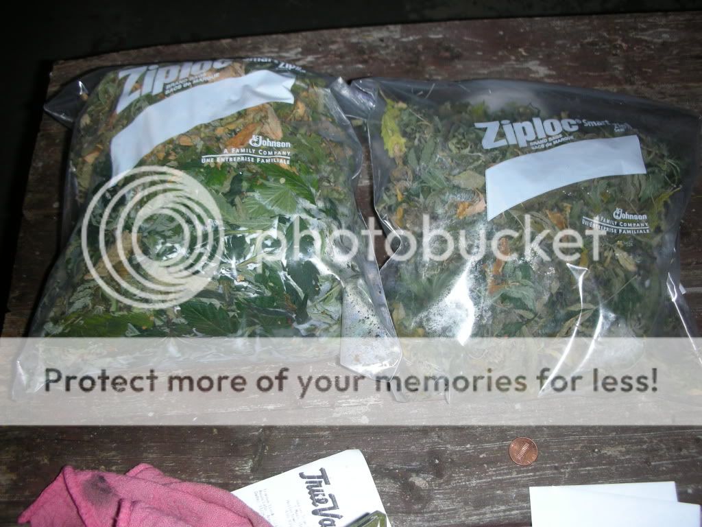 DSCN4308.jpg