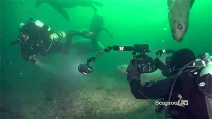 tumblr_ongv9uhV5T1vnq1cro2_500.gif