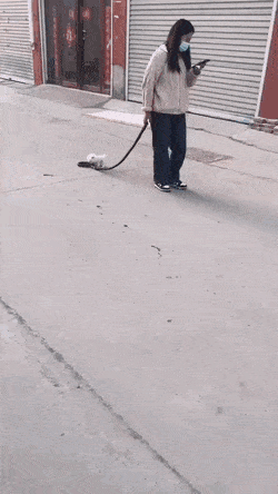 1674332966_1.gif
