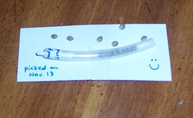 000_2155.jpg