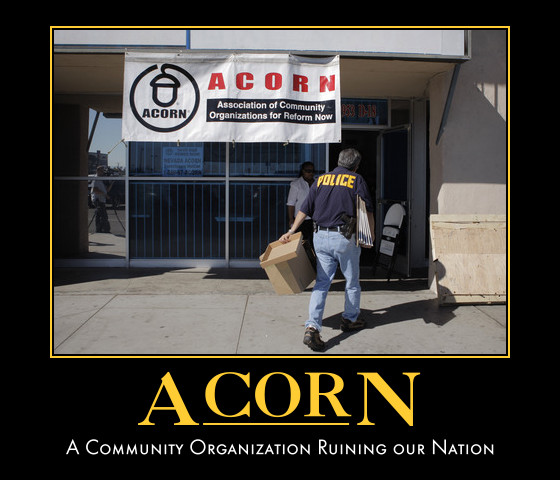 acorn_1.jpg