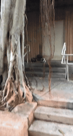 gifs_22.gif