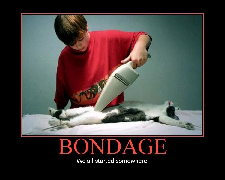Lol_bondage_ftw_by_Snkbyt.jpg