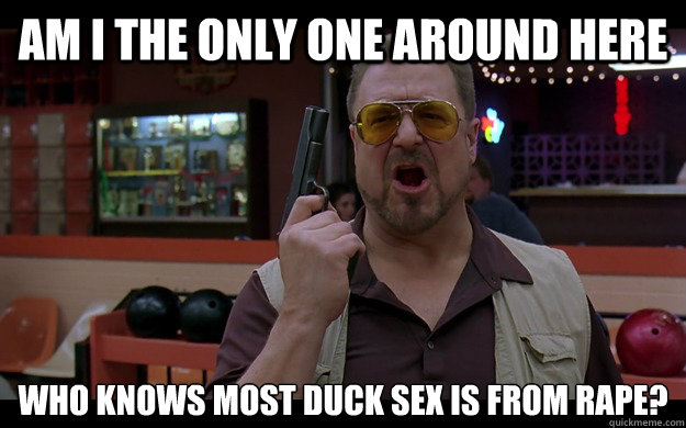 9f45368e24984ecd347172c046d1b0982cbeb505187ddf8d6278ed2f0ebebffd.jpg