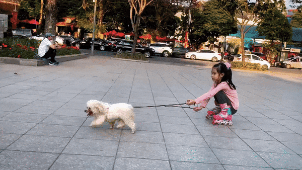 1674161043_10.gif