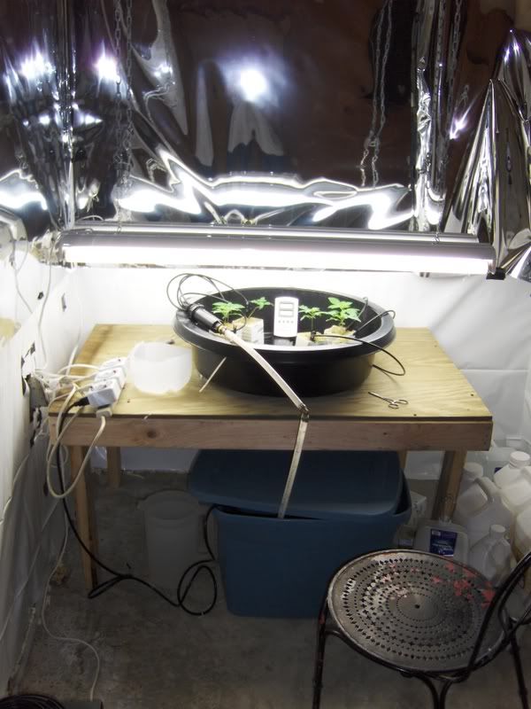 HPIM0214-1.jpg