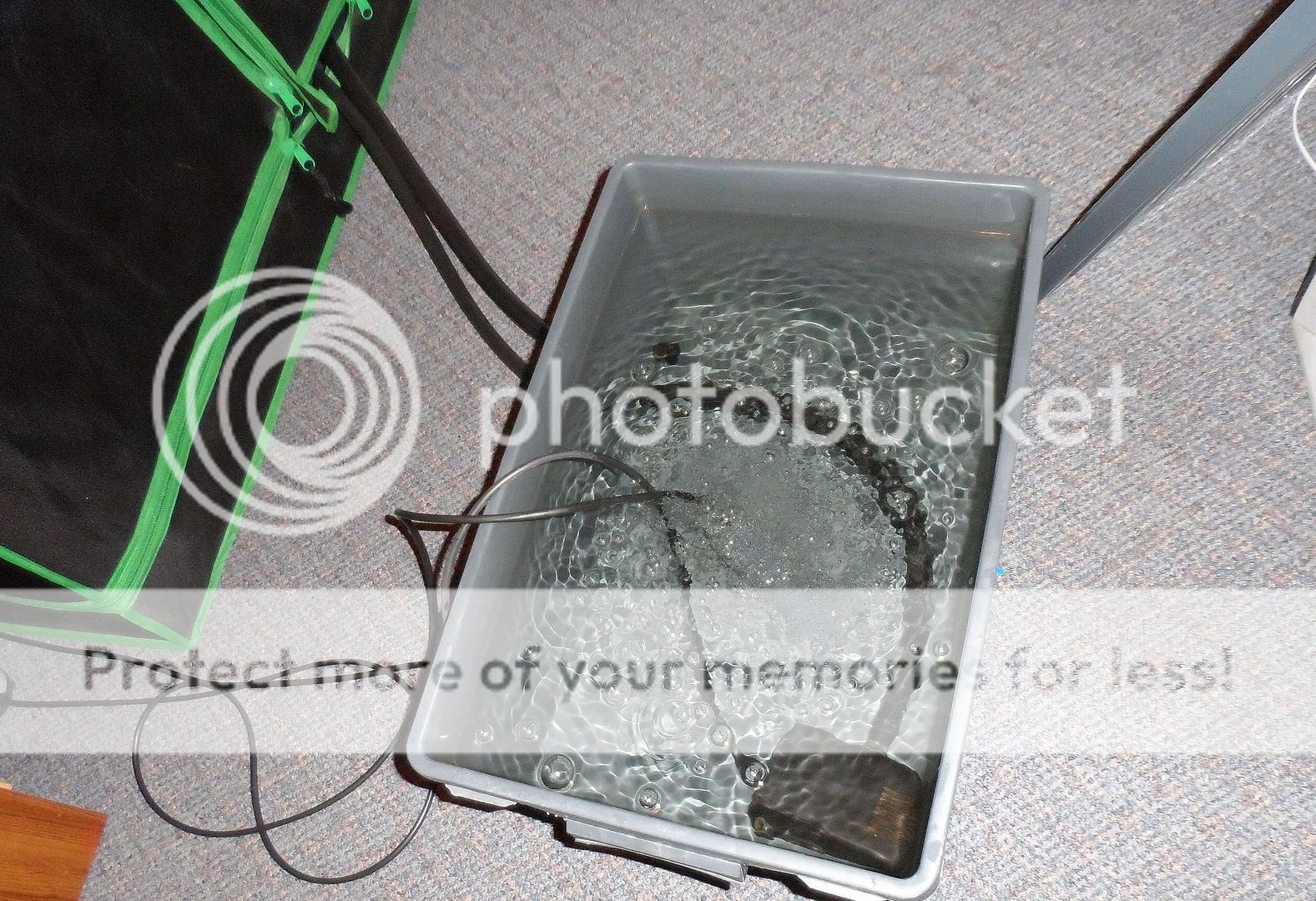 SAM_4408.jpg
