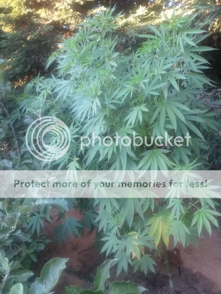 WP_000265.jpg