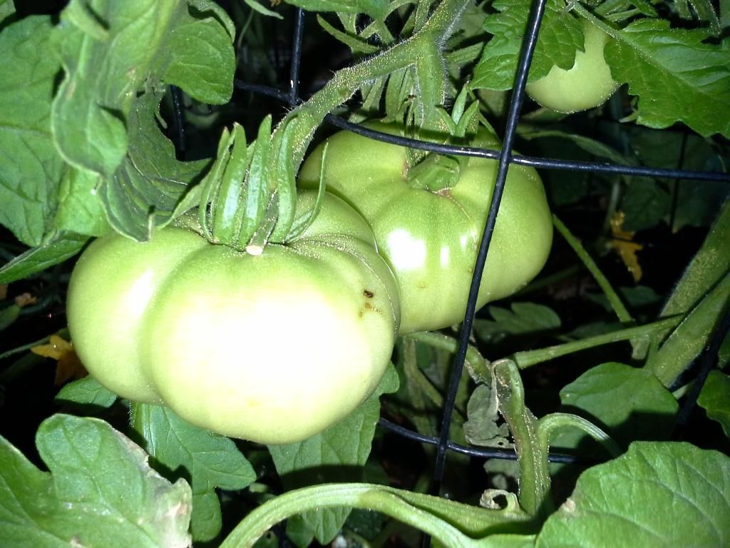 20140620_094122.jpg